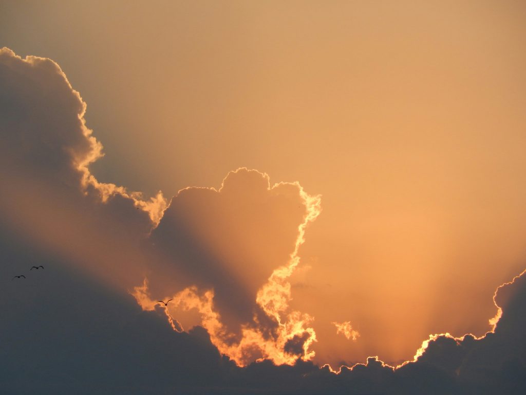 Sunshine