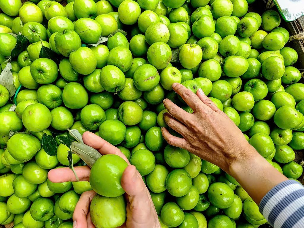 Apples