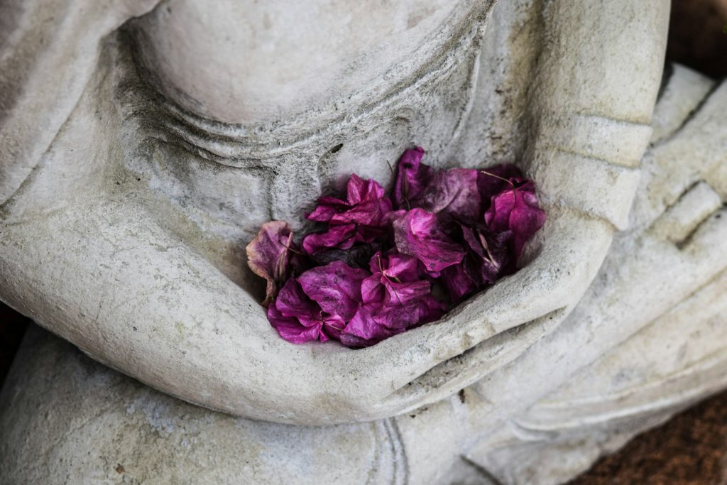 Meditation