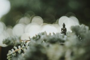 Morning meditation