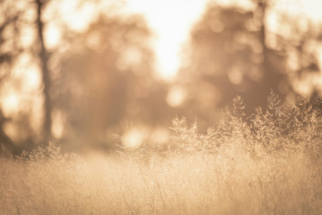 Calm moment