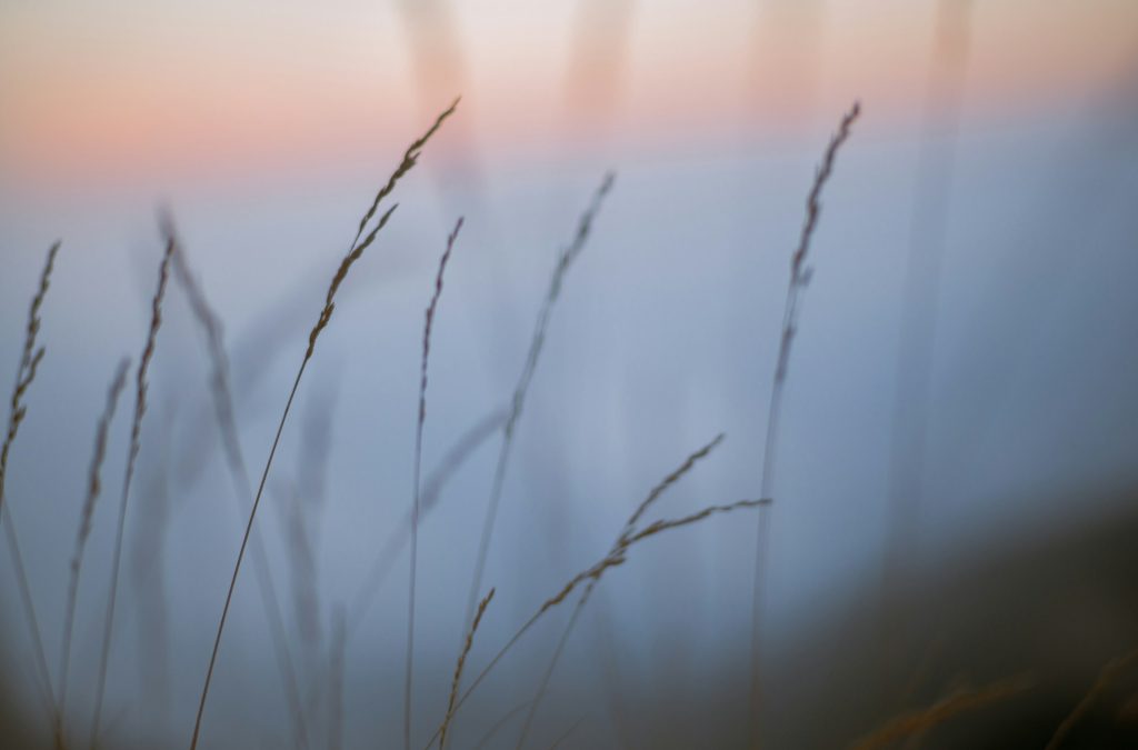 Calm moment