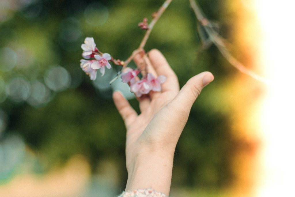 Healing from within