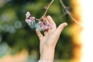 Healing from within