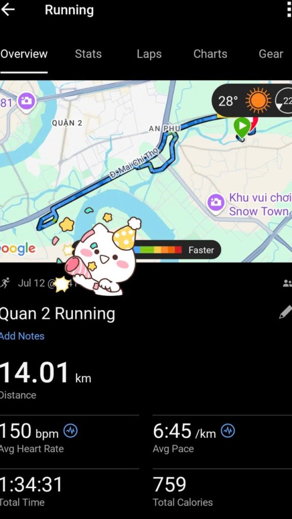 Ironman training