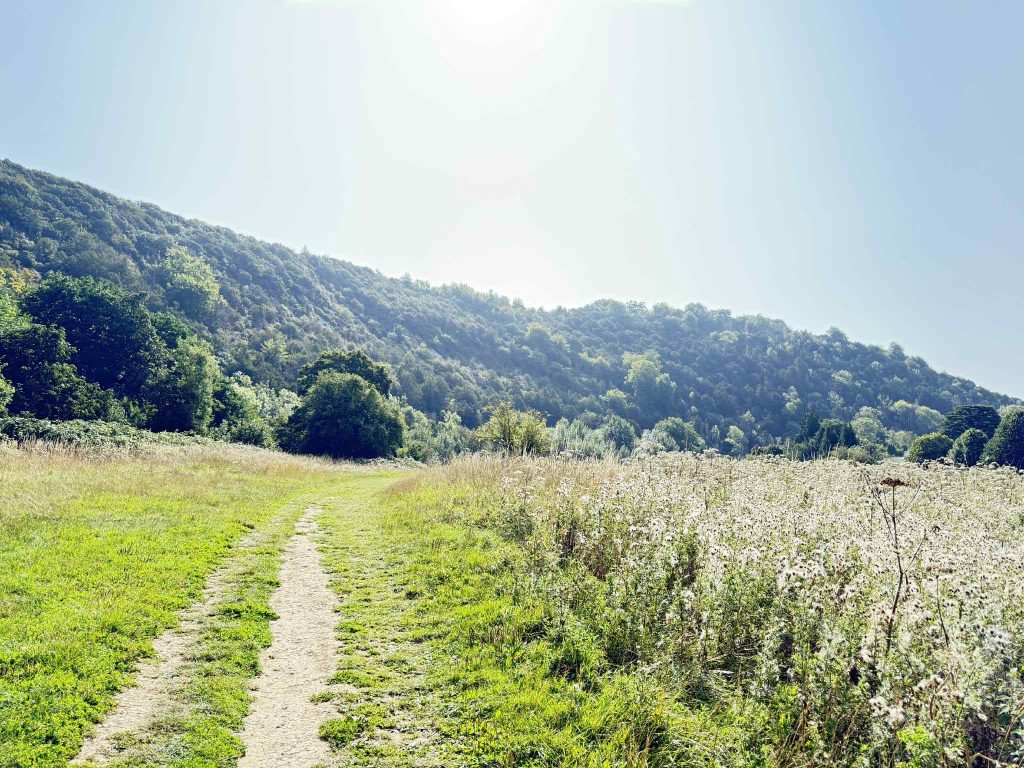 Hiking in the UK