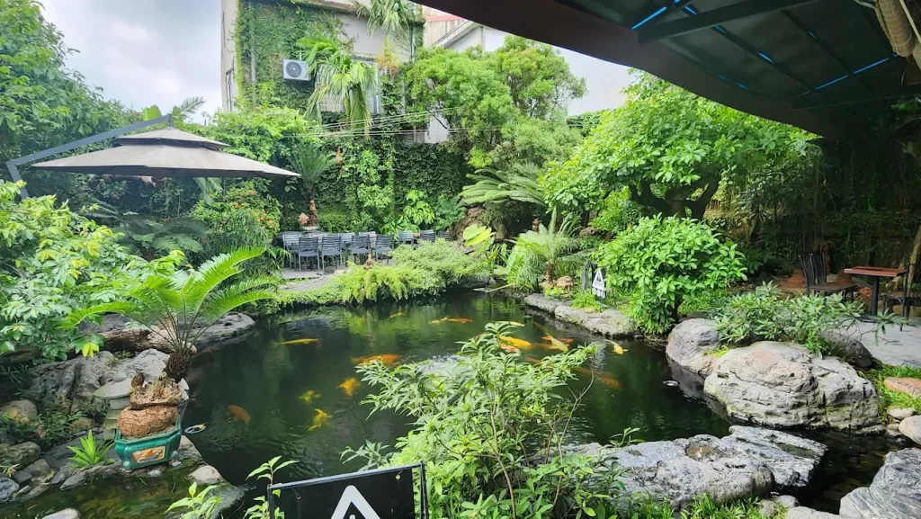 Koi Coffee
